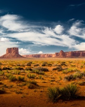 Desert and rocks wallpaper 176x220