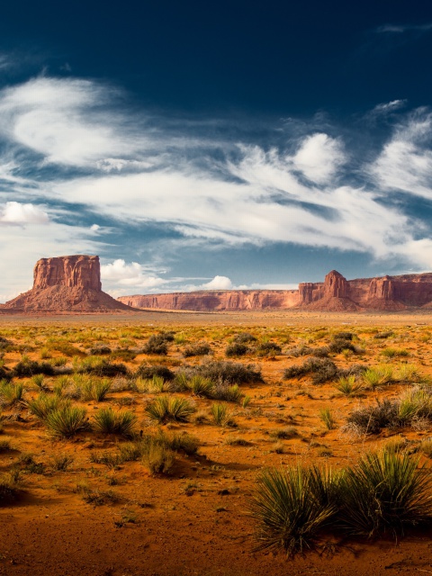 Sfondi Desert and rocks 480x640