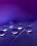 Sfondi Water Droplets 128x160