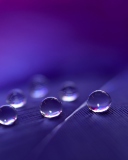 Water Droplets wallpaper 128x160