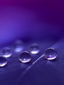 Fondo de pantalla Water Droplets 132x176