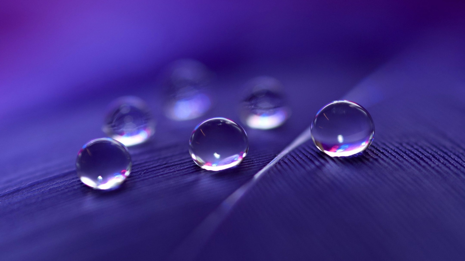 Обои Water Droplets 1600x900
