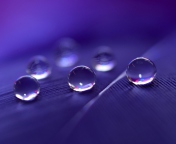 Fondo de pantalla Water Droplets 176x144