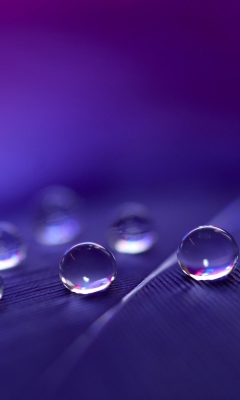 Fondo de pantalla Water Droplets 240x400
