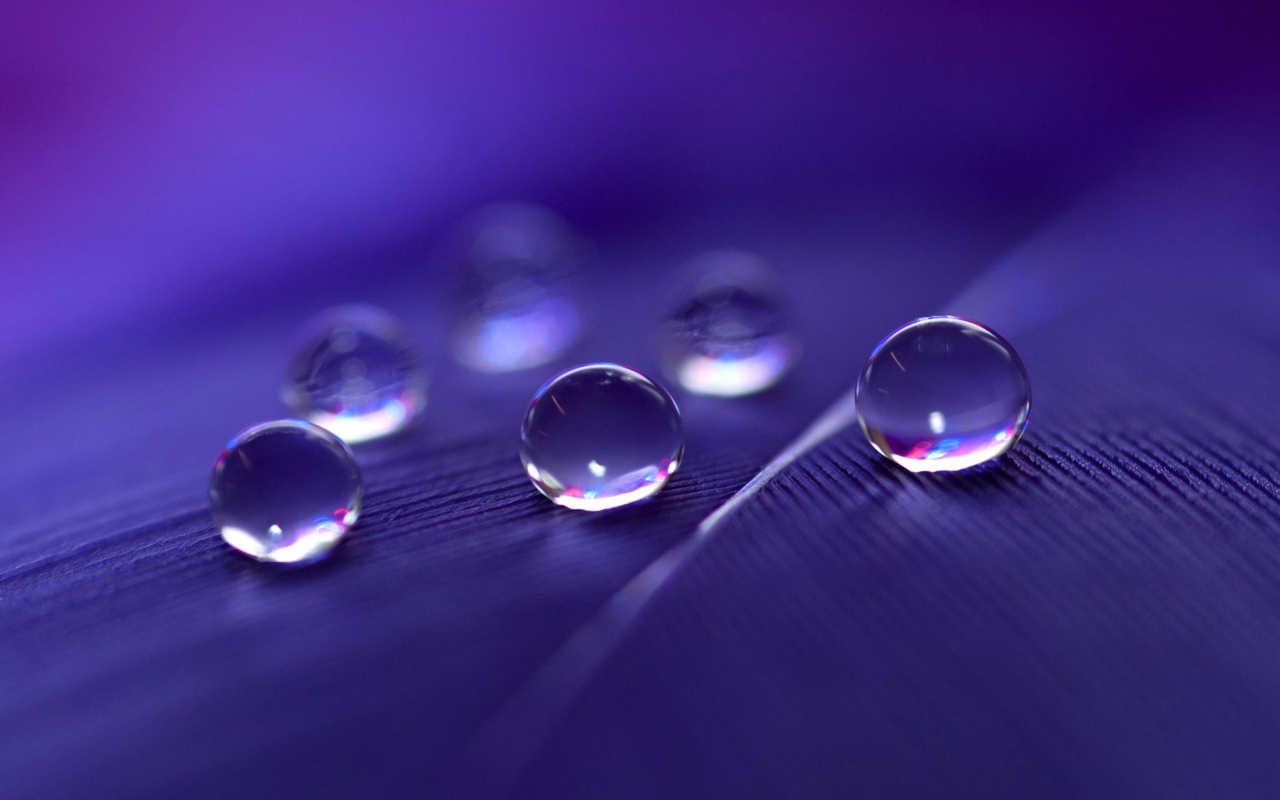Das Water Droplets Wallpaper 2560x1600