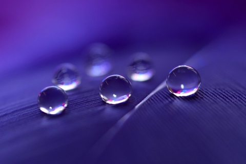 Обои Water Droplets 480x320