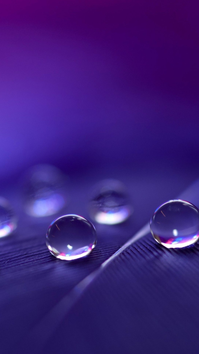 Sfondi Water Droplets 640x1136
