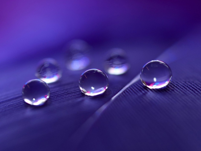 Sfondi Water Droplets 640x480