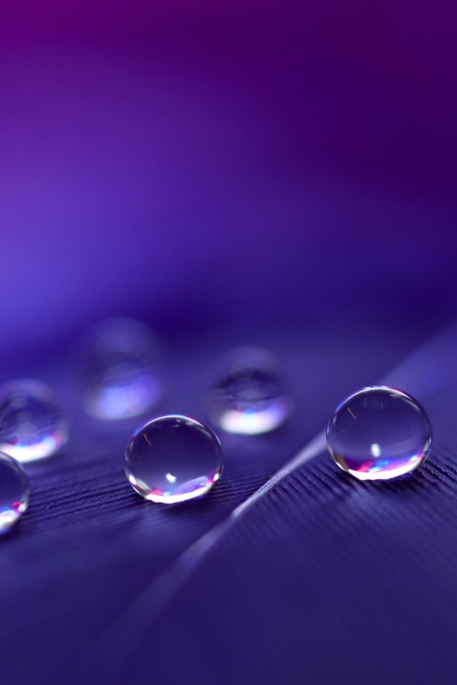 Das Water Droplets Wallpaper 640x960