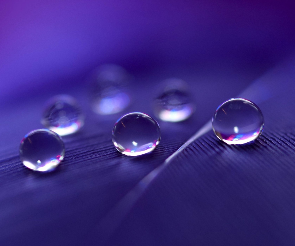 Water Droplets wallpaper 960x800