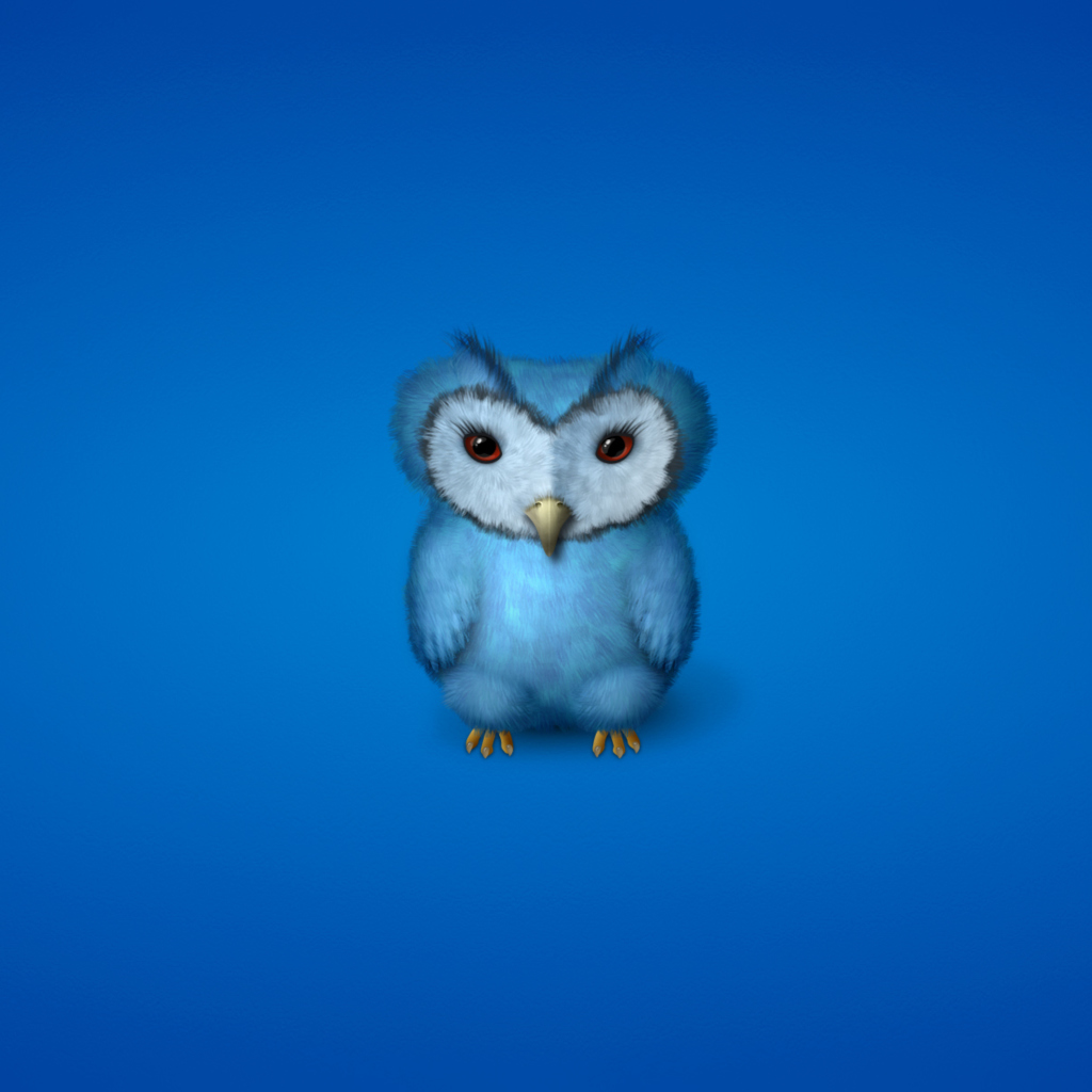 Das Blue Owl Wallpaper 1024x1024
