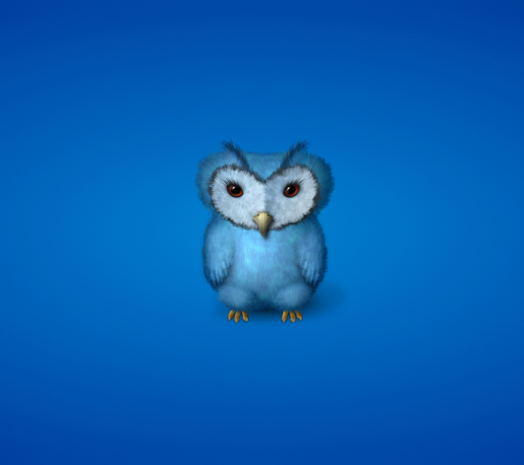 Fondo de pantalla Blue Owl 1080x960