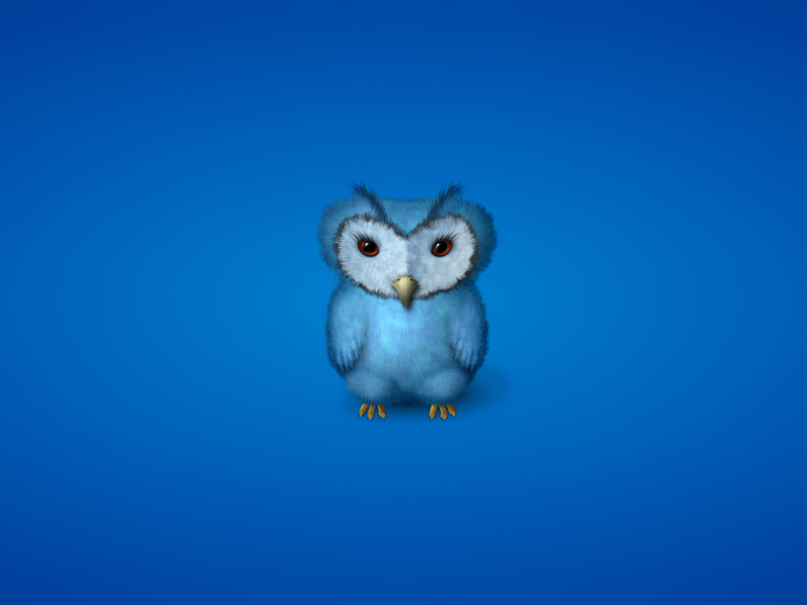 Blue Owl wallpaper 1152x864