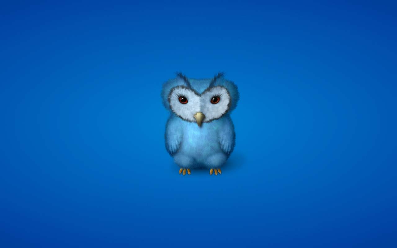 Blue Owl wallpaper 1280x800