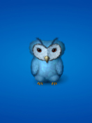 Blue Owl wallpaper 132x176