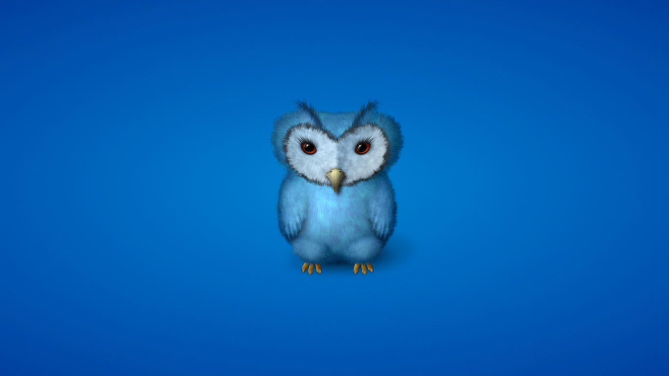 Sfondi Blue Owl 1366x768
