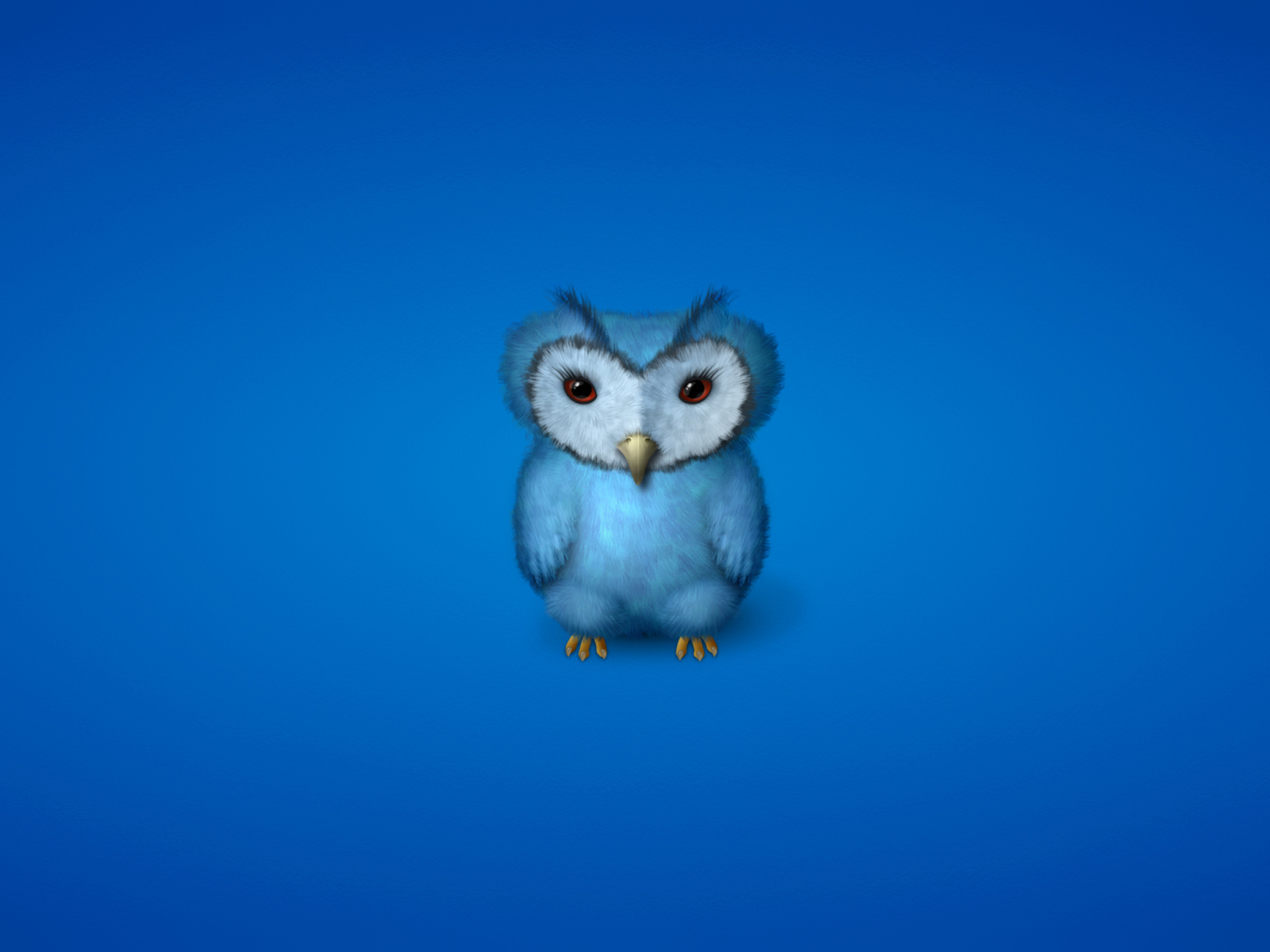 Fondo de pantalla Blue Owl 1600x1200