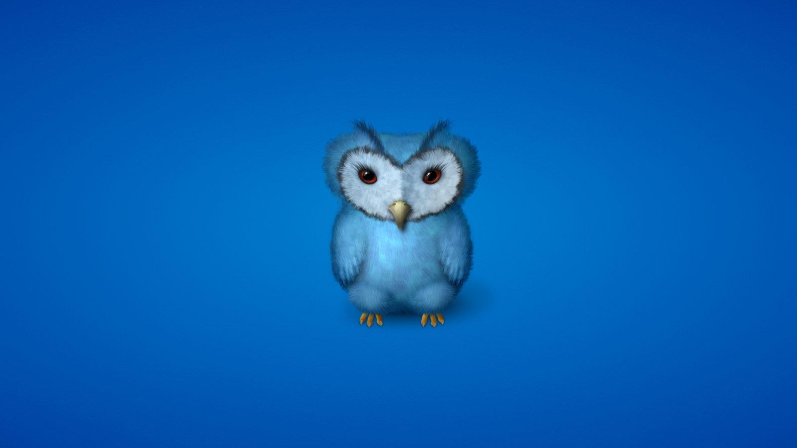 Blue Owl wallpaper 1600x900