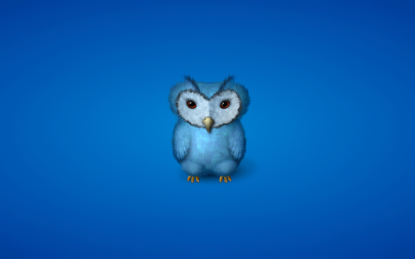 Обои Blue Owl 1680x1050
