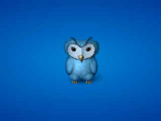 Fondo de pantalla Blue Owl 320x240