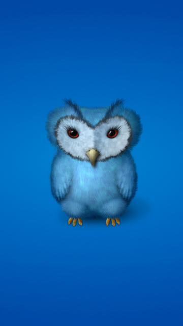 Das Blue Owl Wallpaper 360x640