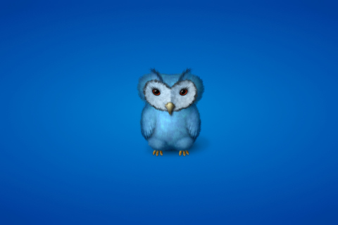 Обои Blue Owl 480x320