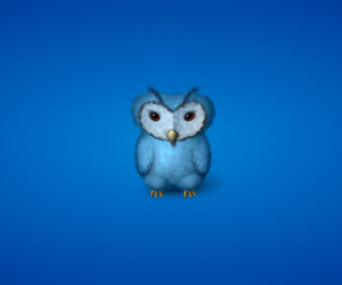 Обои Blue Owl 480x400