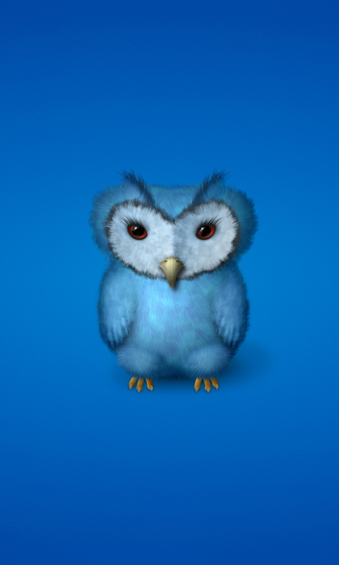 Fondo de pantalla Blue Owl 480x800
