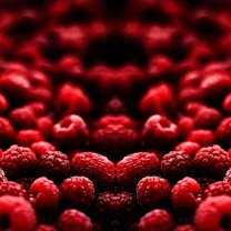 Appetizing Raspberries wallpaper 208x208