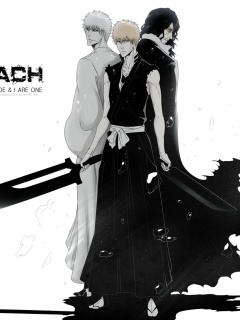 Das Ichigo Kurosaki, Bleach Wallpaper 240x320