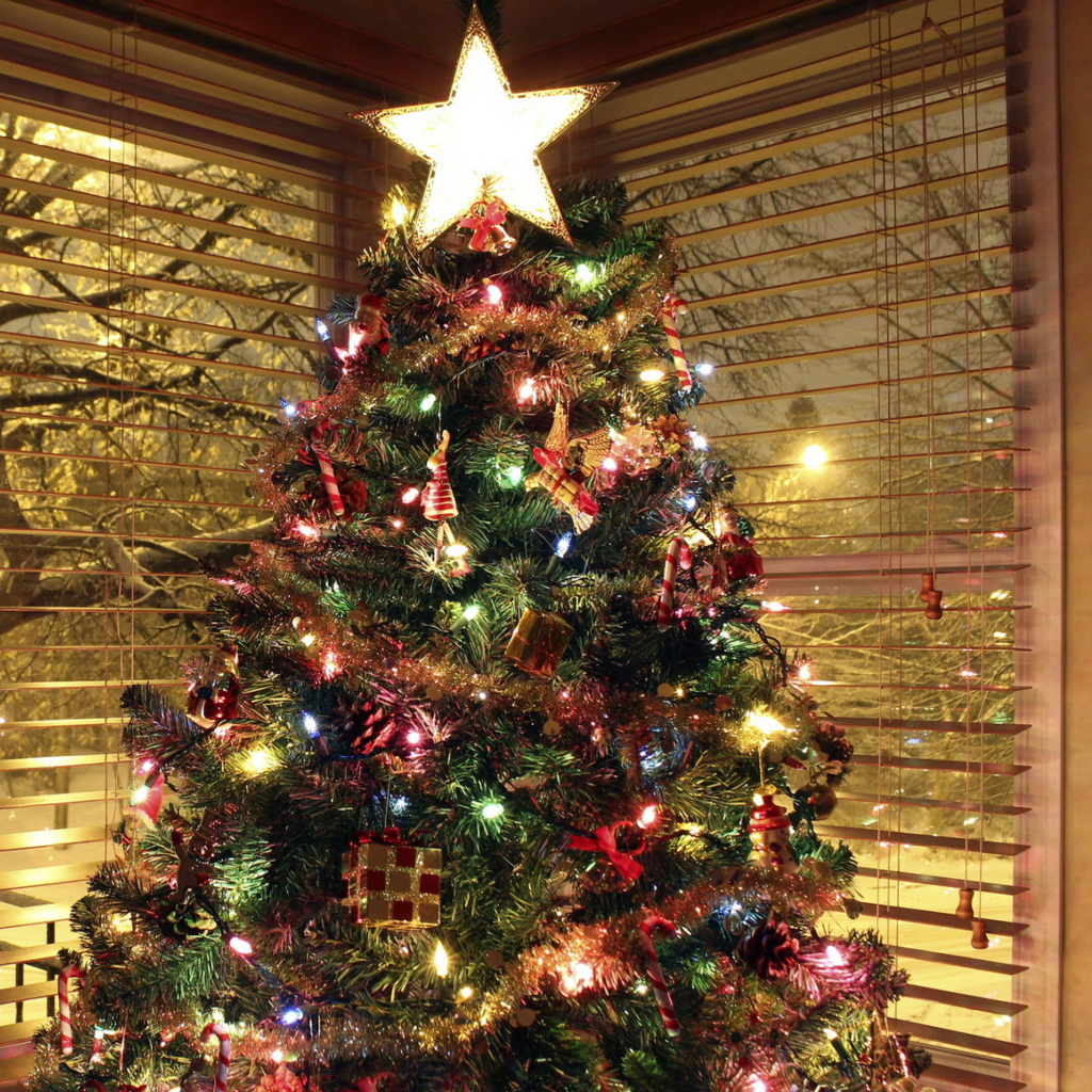 Обои Christmas Tree With Star On Top 1024x1024