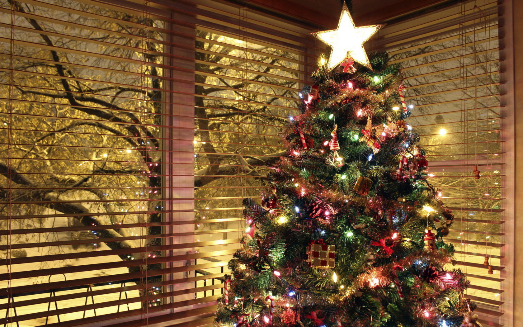 Fondo de pantalla Christmas Tree With Star On Top 1680x1050
