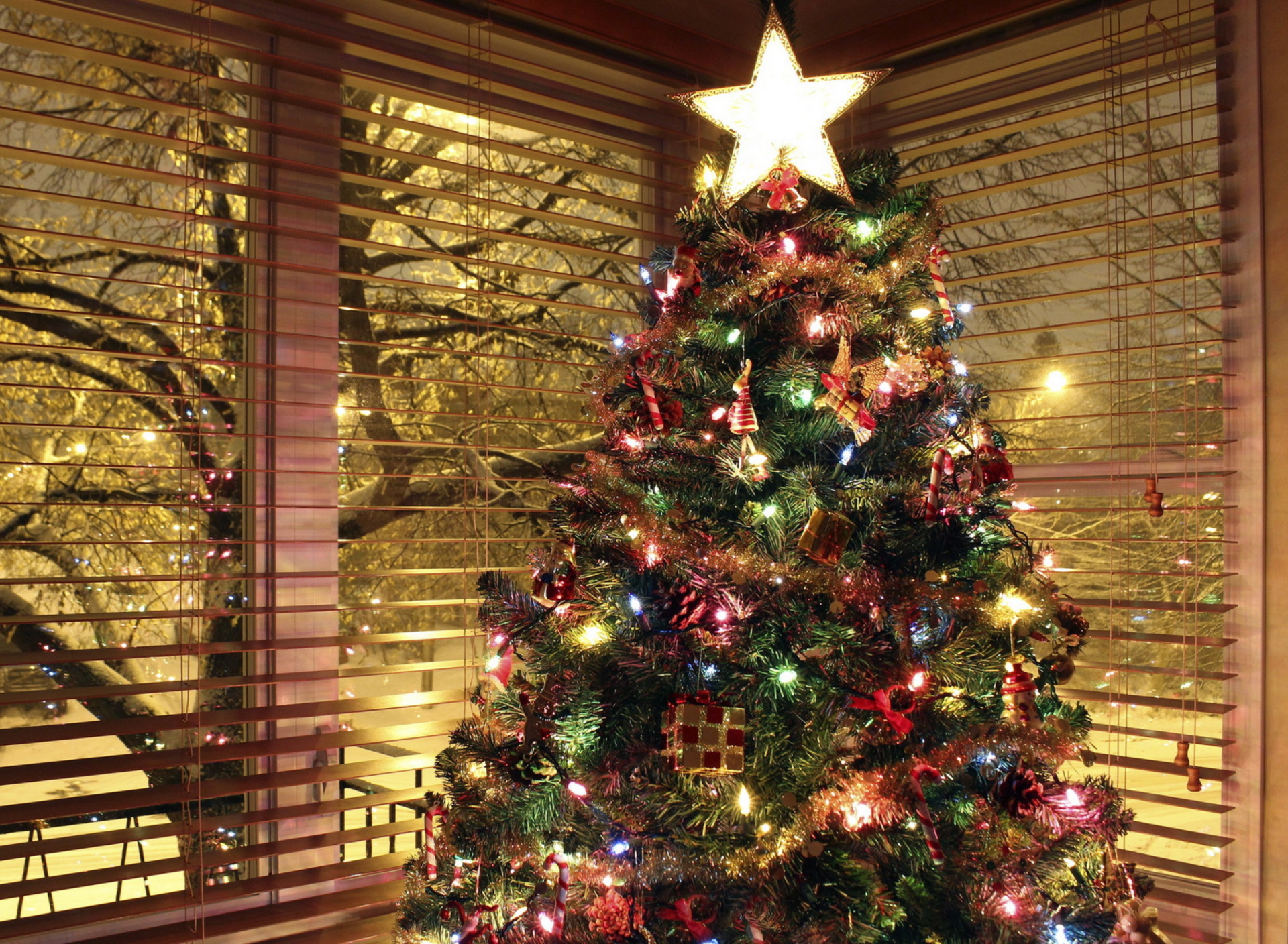 Обои Christmas Tree With Star On Top 1920x1408