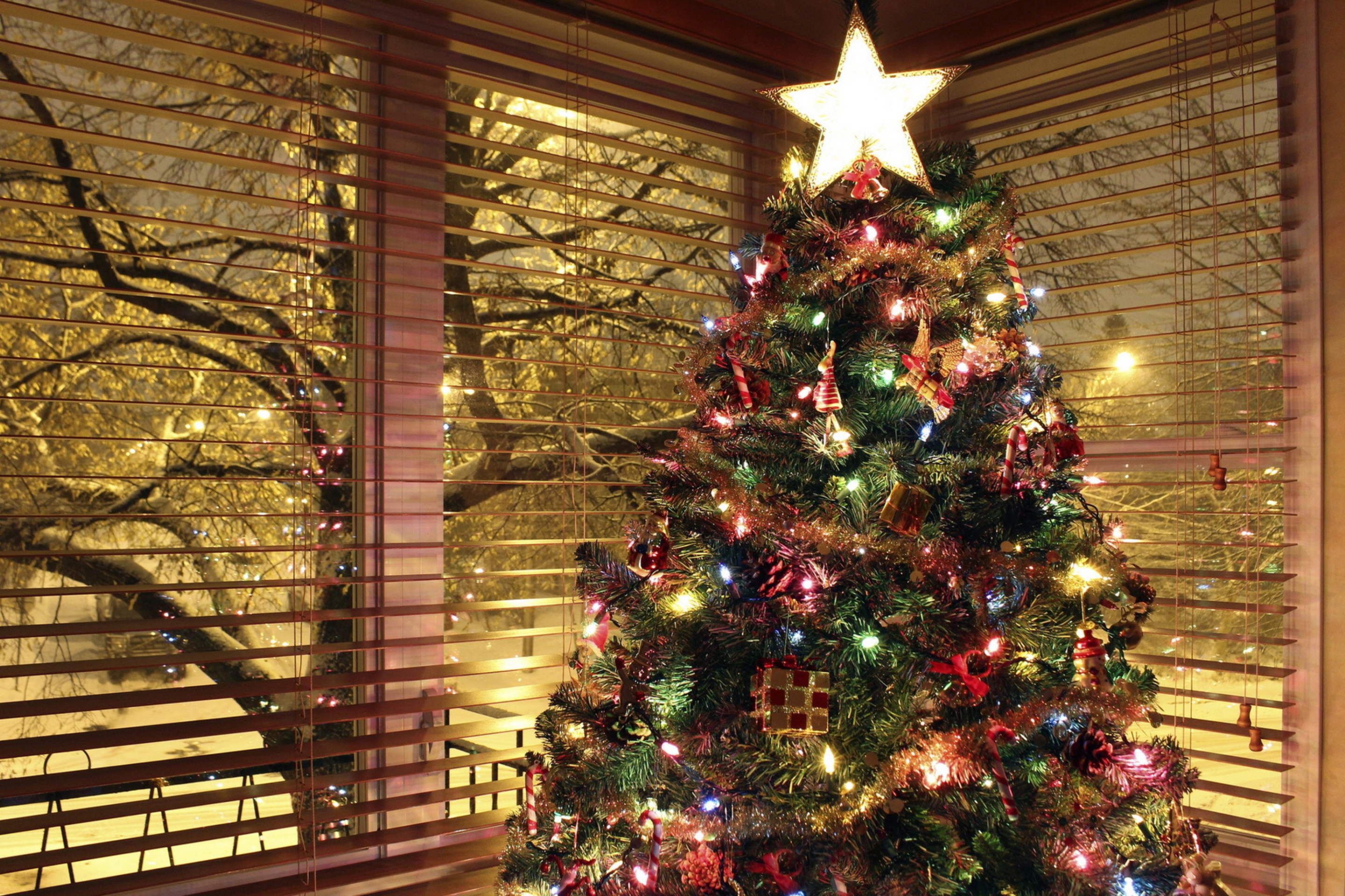Обои Christmas Tree With Star On Top 2880x1920