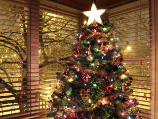 Christmas Tree With Star On Top wallpaper 320x240