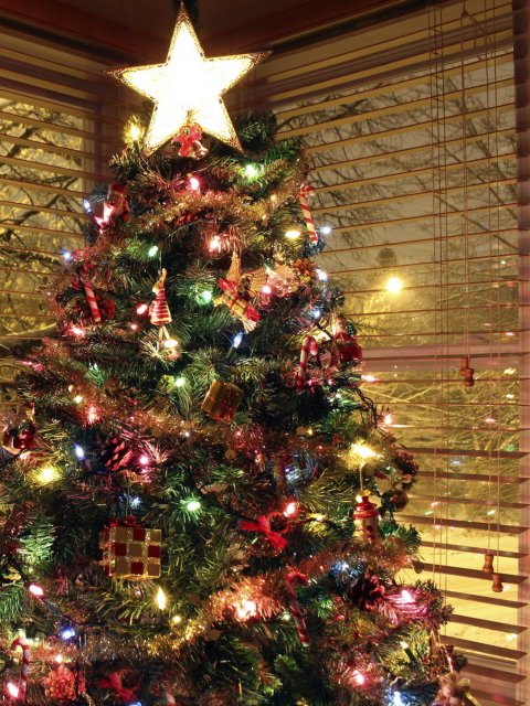 Das Christmas Tree With Star On Top Wallpaper 480x640