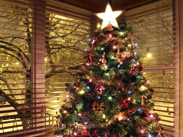 Das Christmas Tree With Star On Top Wallpaper 640x480