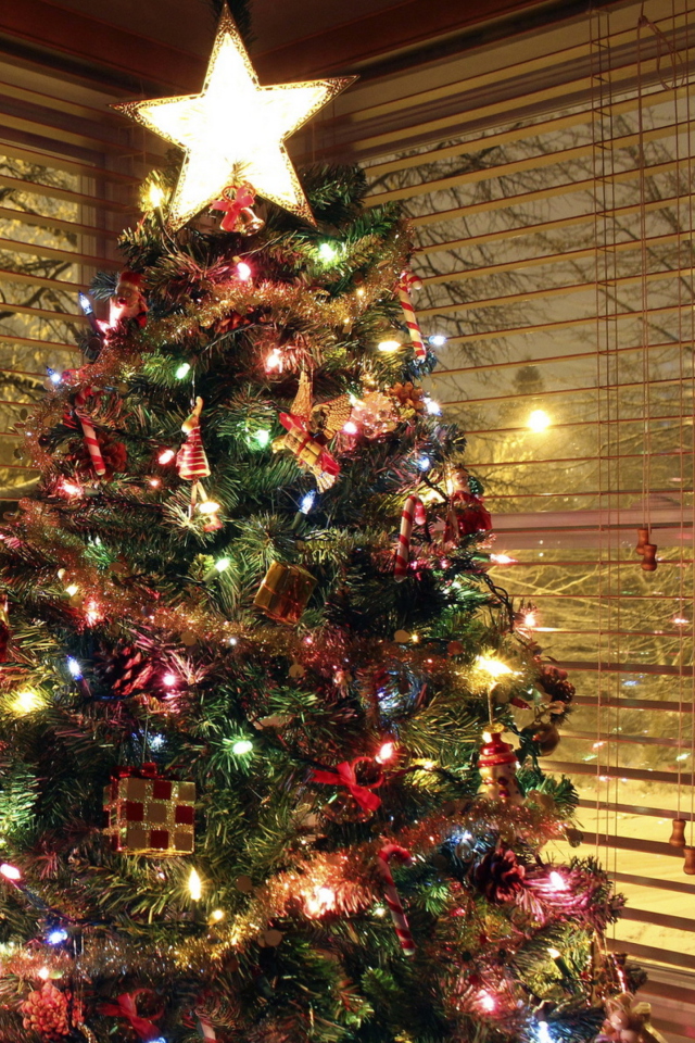 Sfondi Christmas Tree With Star On Top 640x960