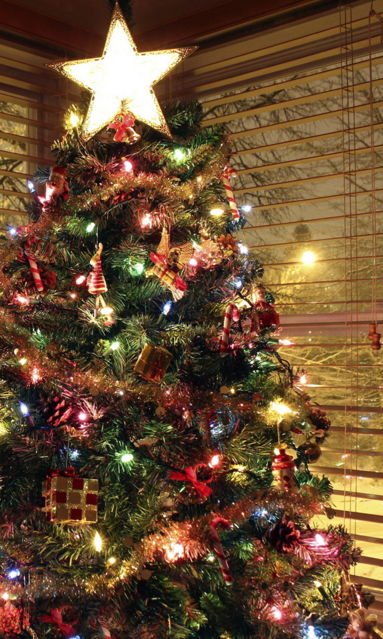 Sfondi Christmas Tree With Star On Top 768x1280