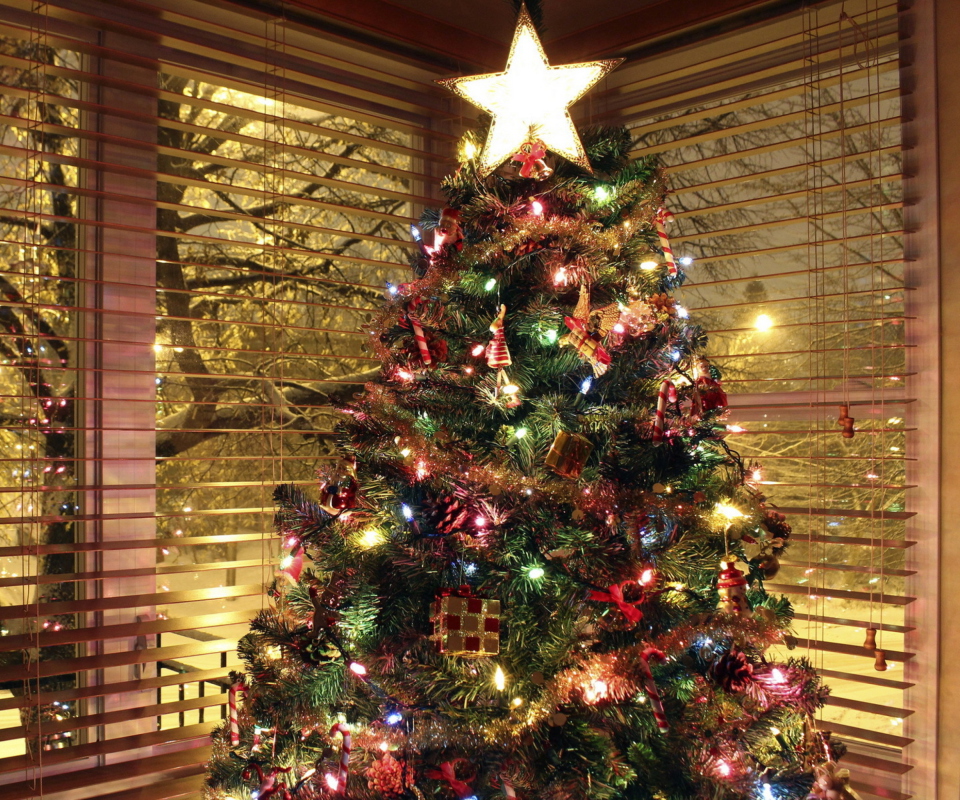Обои Christmas Tree With Star On Top 960x800