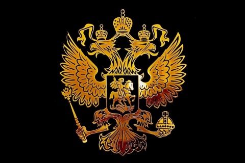 Screenshot №1 pro téma Russian coat of arms golden 480x320