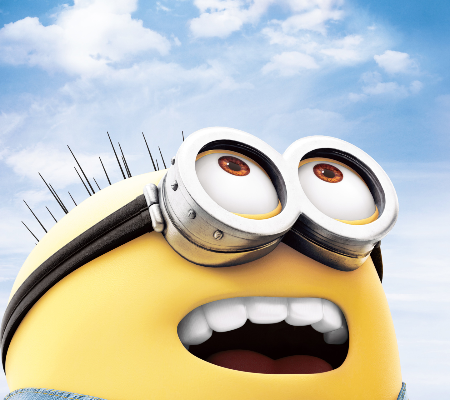 Das Despicable Me 2 Wallpaper 1440x1280