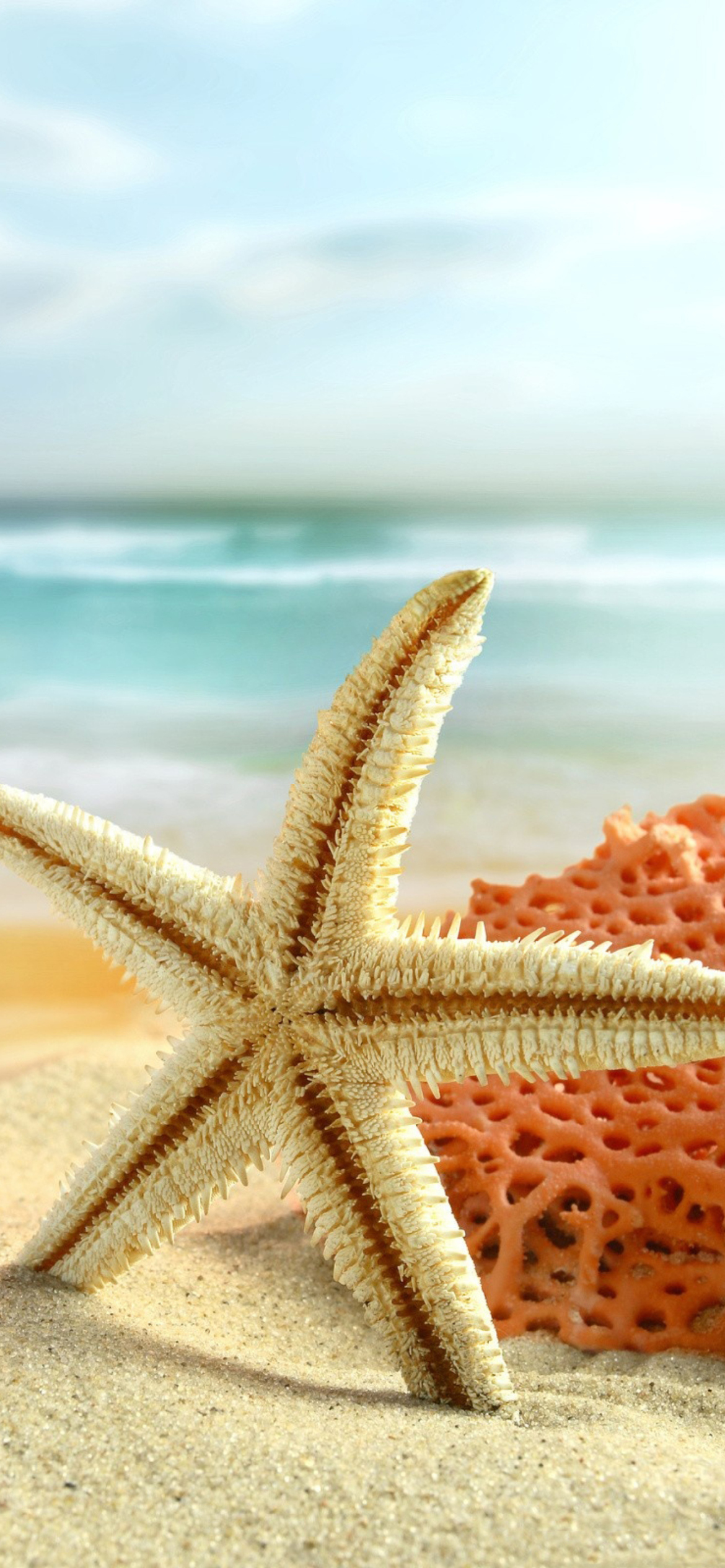 Starfish On Beach wallpaper 1170x2532