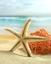 Обои Starfish On Beach 176x220