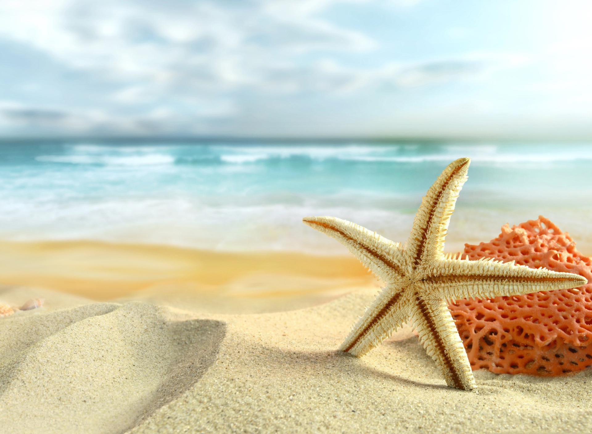 Sfondi Starfish On Beach 1920x1408