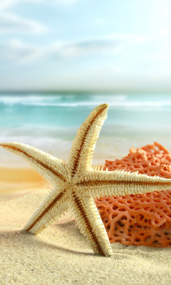 Обои Starfish On Beach 240x400