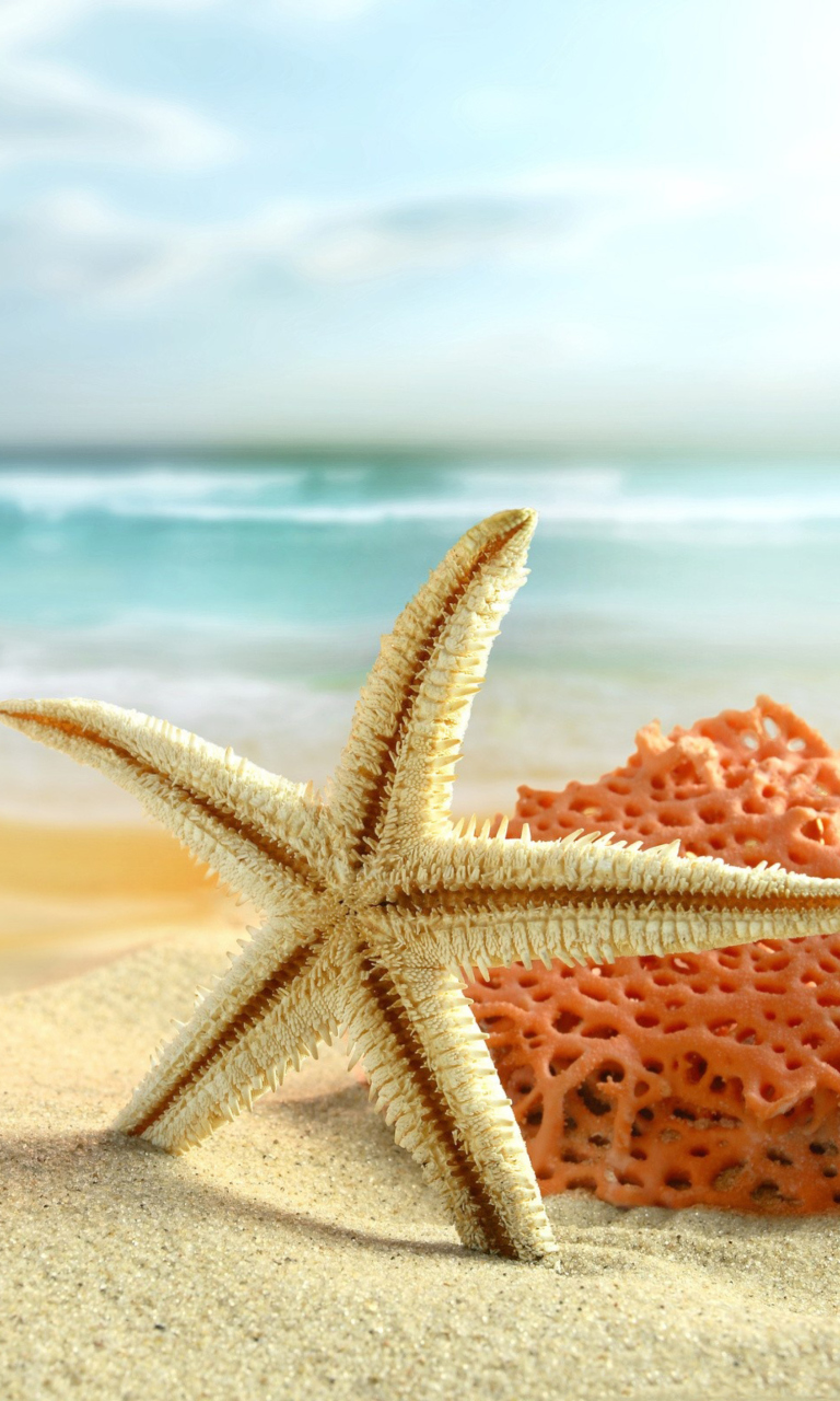 Das Starfish On Beach Wallpaper 768x1280