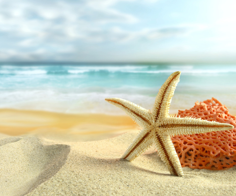 Обои Starfish On Beach 960x800