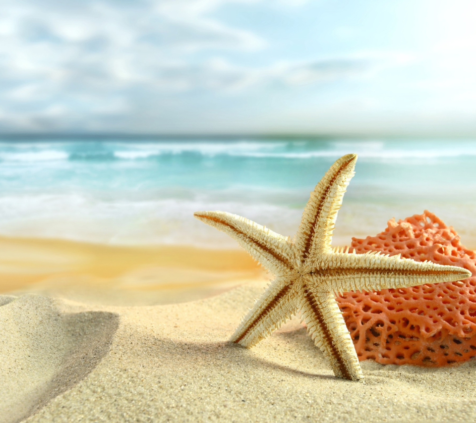 Starfish On Beach wallpaper 960x854