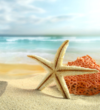 Kostenloses Starfish On Beach Wallpaper für 128x128